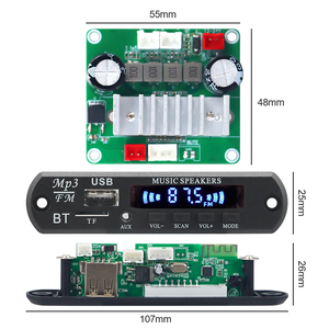 VIRE DC 12-24V <strong>Input</strong> Digital Audio Stereo <strong>Amplifier</strong> for Bluetooth Module 5V <strong>Output</strong> <strong>2</strong>*50W TPA3116 <strong>Amplifier</strong> Board Made Plastic