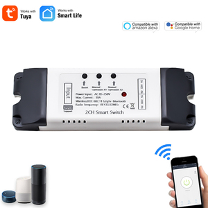 Interruttore Wifi alto TUYA 2 CH modulo relè intelligente DC/AC110V 220V ricevitore domestico Timer APP telecomando Smart Life Alexa 433MHz - Product Image 5