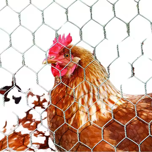 Galvanized <strong>Hexagonal</strong> Wire Mesh for Fence Farm Chicken Mesh Net <strong>Hexagonal</strong> Poultry <strong>Netting</strong> - Product Image 4