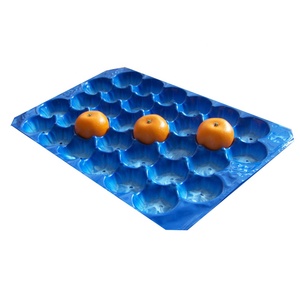 可回收材料塑料托盘，用于带有定制腔的水果包装 - Product Image 4