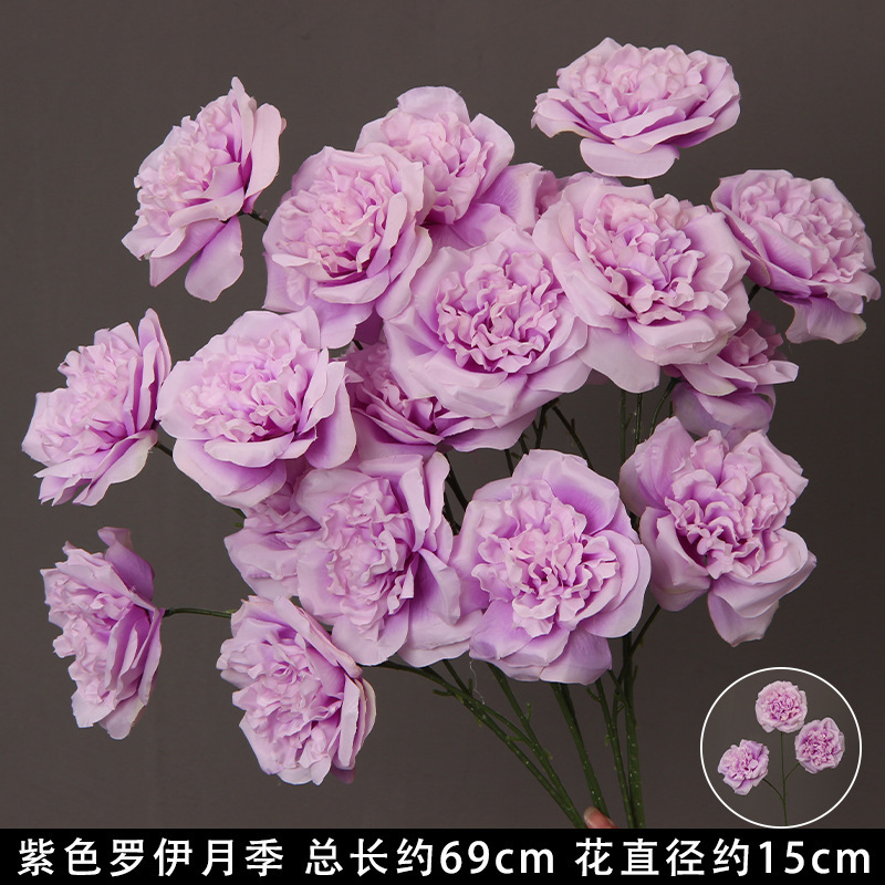 Rose royale violette