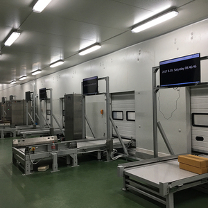 Sistema automatico ASRS celle frigorifere Rack magazzino automatico di stoccaggio e di recupero sistema di stoccaggio Rack per cella frigorifera - Product Image 2