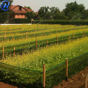 Hdpe with Uv Breeding Snailsアンチエスケープファーミングネットカタツムリアンチリークネット90gsmブラックバリアネットforSnail Farm Pen Fence - Product Image 2