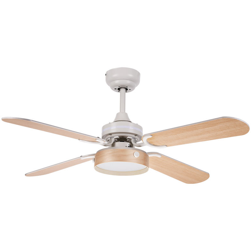 Blanc + Bois naturel