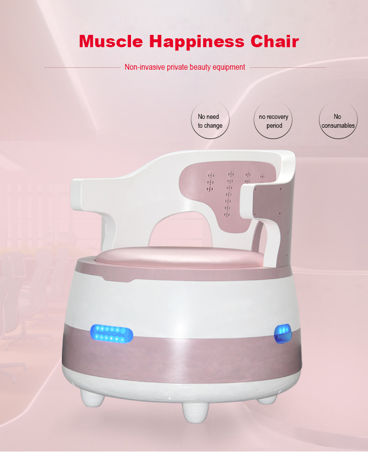 New Arrival Pelvic Floor Stimulator Device Kegel Exercise Device Pelvic Floor Muscle Machine Ems Pelvic Floor Chair