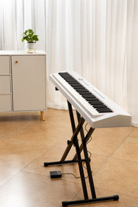 BDMUSIC popular instrumento musical de teclado electrónico de piano digital de 88 teclas con MIDI y teclas de respuesta táctil - Product Image 5