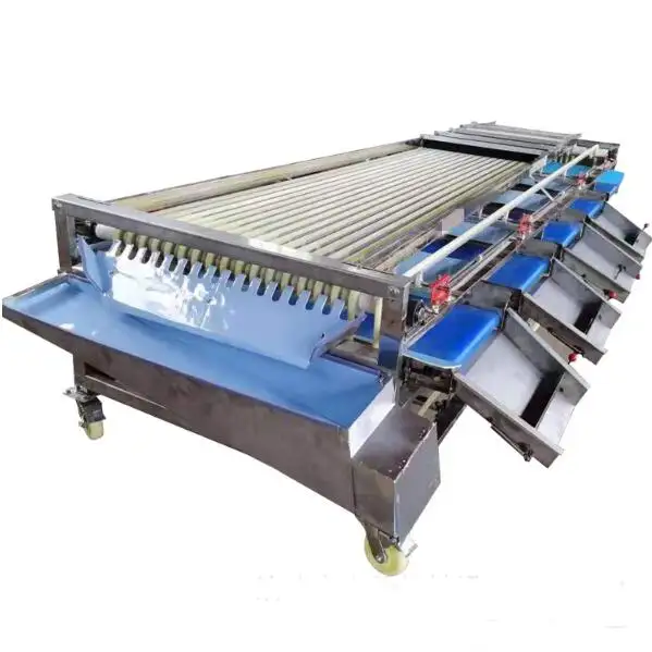 Çin fabrika turuncu parça sıralama makinesi/tarih domates sıralama makinesi palm hünnap sınıflandırıcı