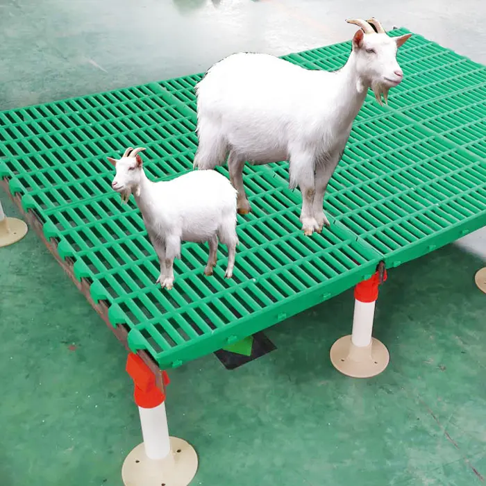600*600mm Kunststoff-Latten boden für die Ziegen zucht Ziegen haus boden matte zu verkaufen
