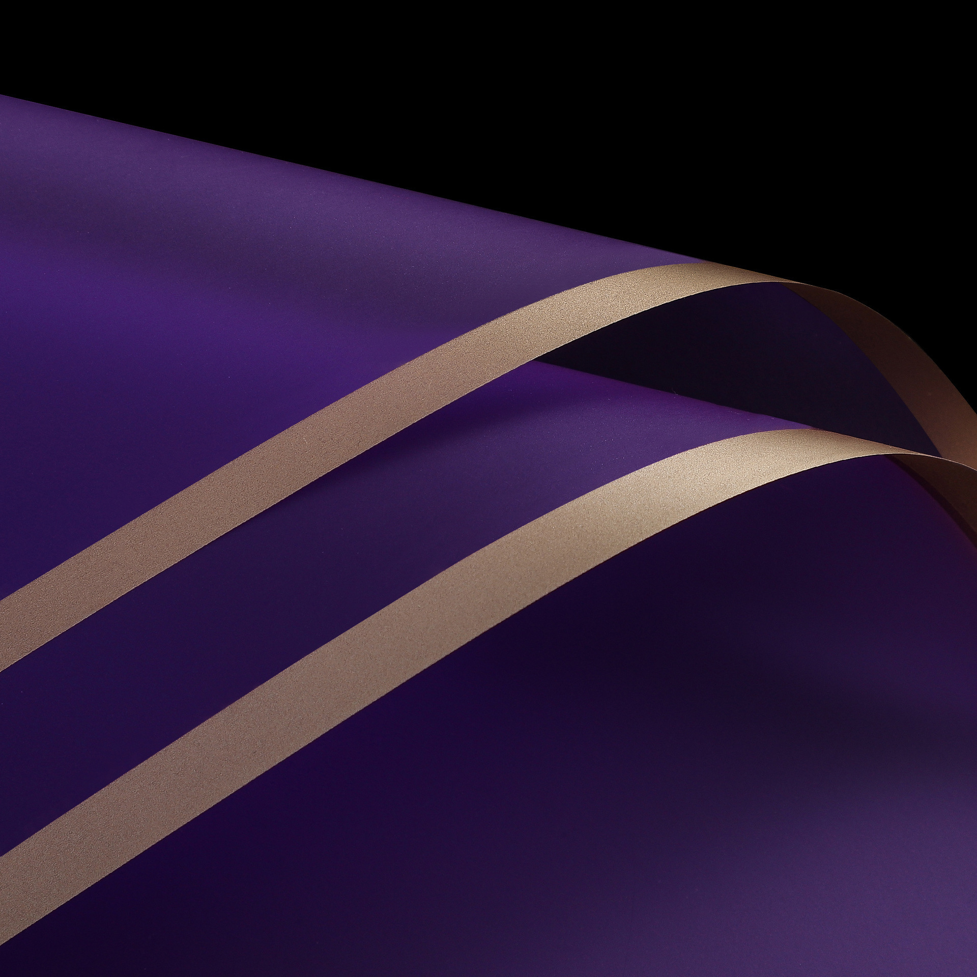14-dark purple