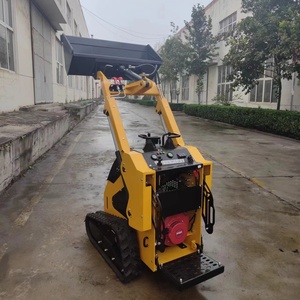 DP-T360 дизельный/бензиновый компактный гусеничный погрузчик, малогабаритный погрузчик высокого качества с насадкой для газонокосилки - Product Image 2