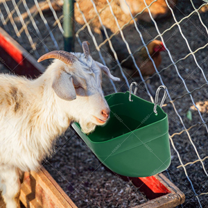 Hot bán động vật trung chuyển gia cầm ăn máng trung chuyển với clip cho gà vịt dê cừu - Product Image 6