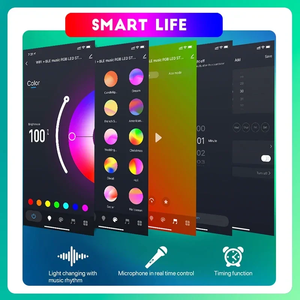 RGBIC LED striscia di luci al Neon corda 5V USB 5M/16.4ft per camera da letto telecomando WIFI APP di controllo 10m RGBIC Neon LED corda 12V tensione di ingresso - Product Image 4