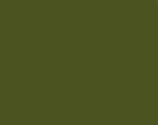 Verde dell'esercito