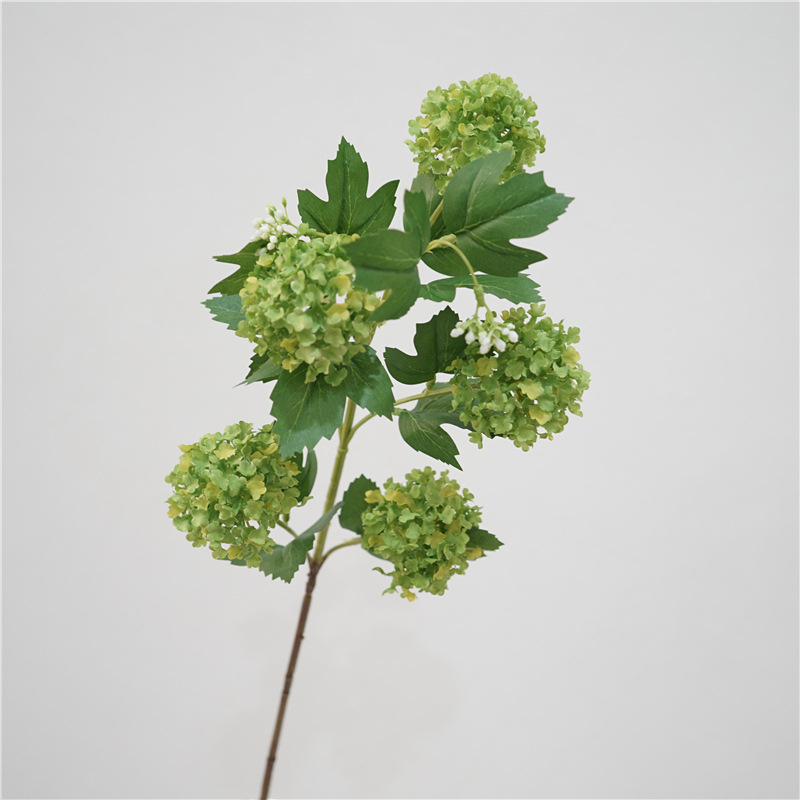 5 to snowball-dark green
