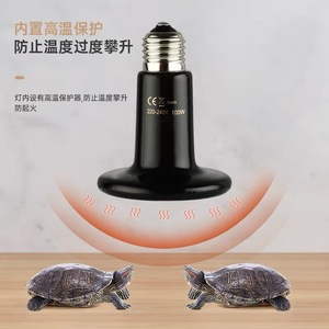 Sürüngenler için küçük kış seramik ısıtma lambası ısı yalıtımı Pet ısıtma ekipmanları kaplumbağalar, yılanlar, kertenkele - Product Image 5