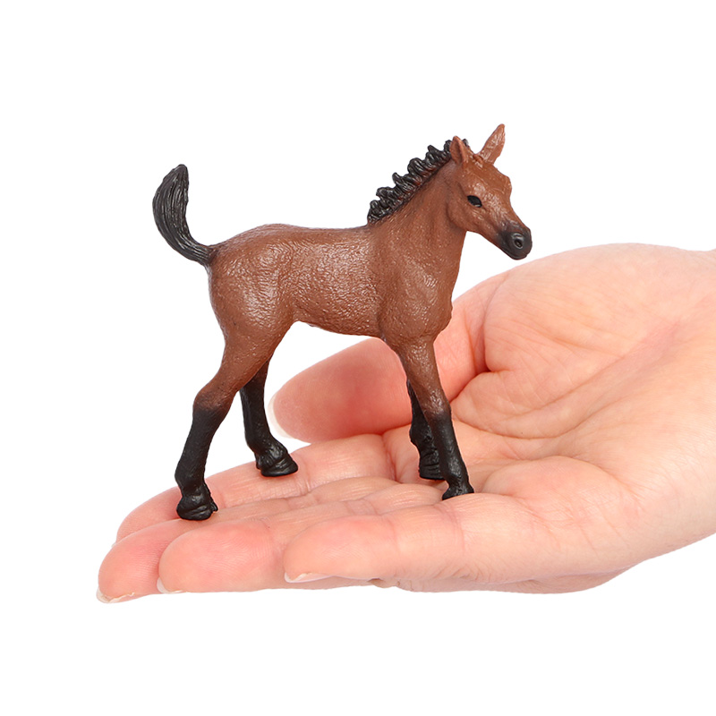 Poney de 2851 litres
