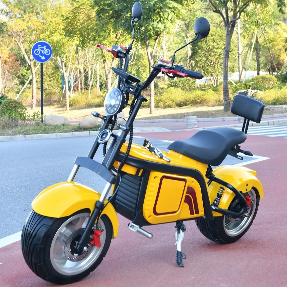 Vélo électrique à gros pneus de 16 pouces, auto-équilibrage, 60V 800W 1000W, pneus larges, Chopper, bicyclette