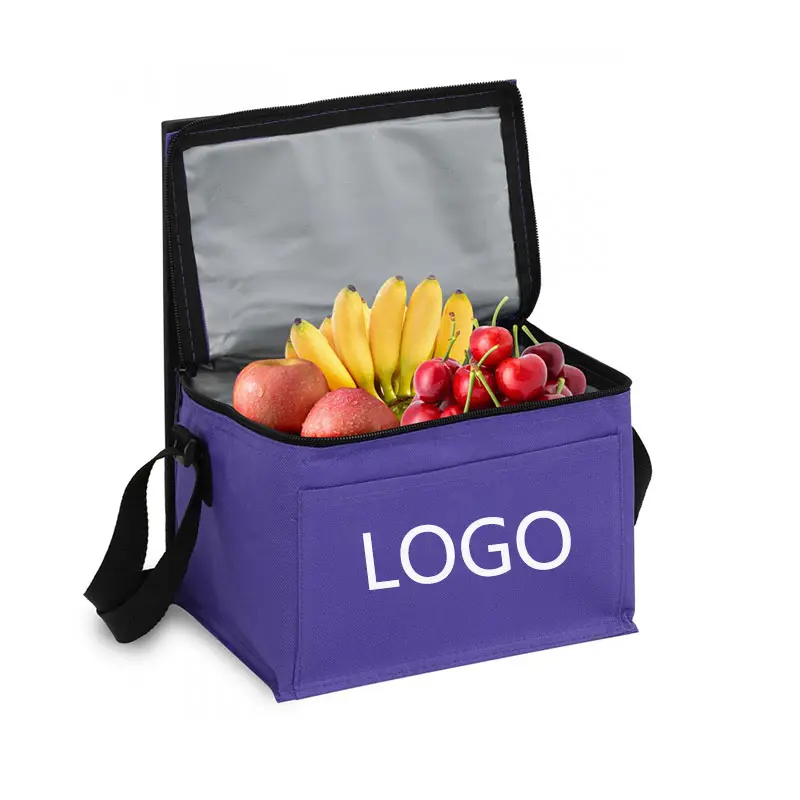 Borsa pranzo con isolamento personalizzato promozionale borsa termica 6 lattine con logo sacchetti di raffreddamento isolati in poliestere per mantenere il cibo freddo