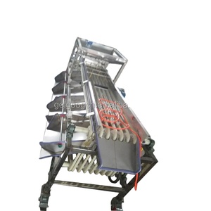 Buona Prestazione Plum Date Smistamento Macchina Grader Date di Classificazione Macchina - Product Image 2