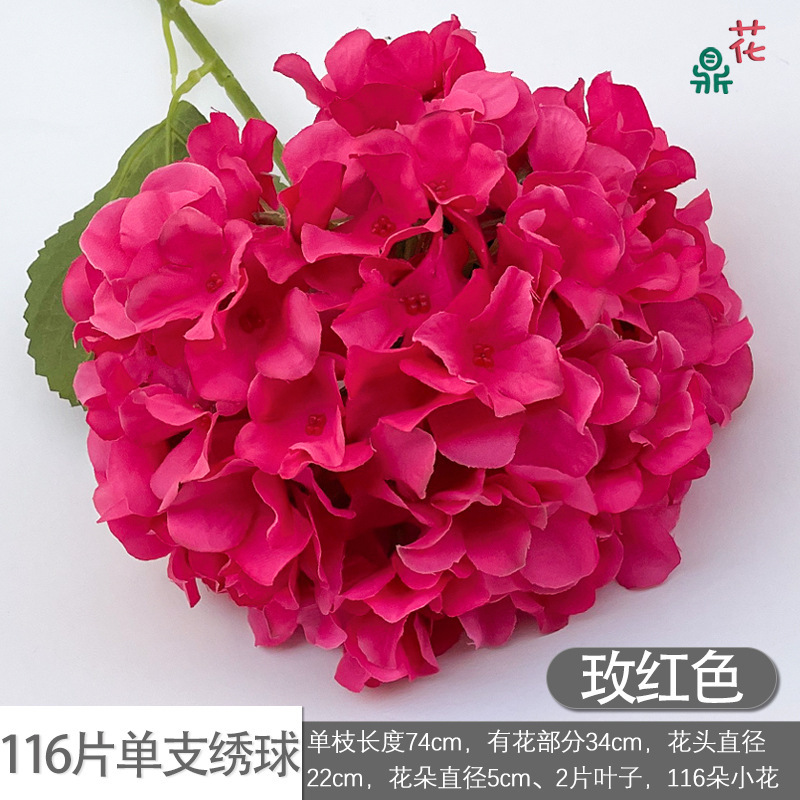 116 pétales par hortensia, rose rouge