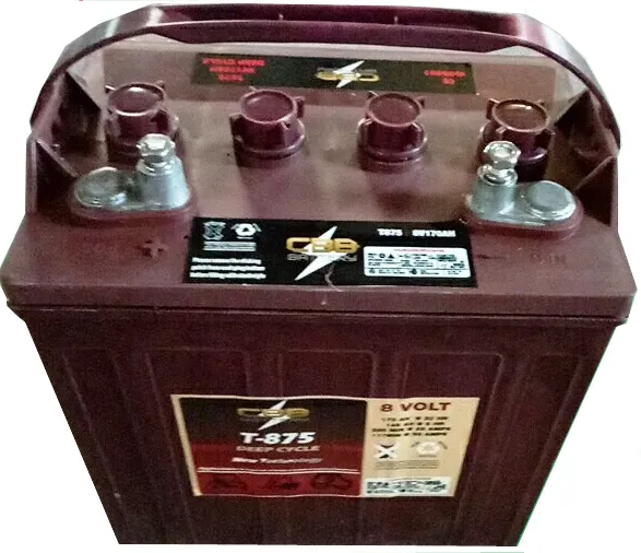 CE ได้รับการอนุมัติ Trojan Deep Cycle แบตเตอรี่8V170ah,T875โวลต์ Deep Cycle Battery