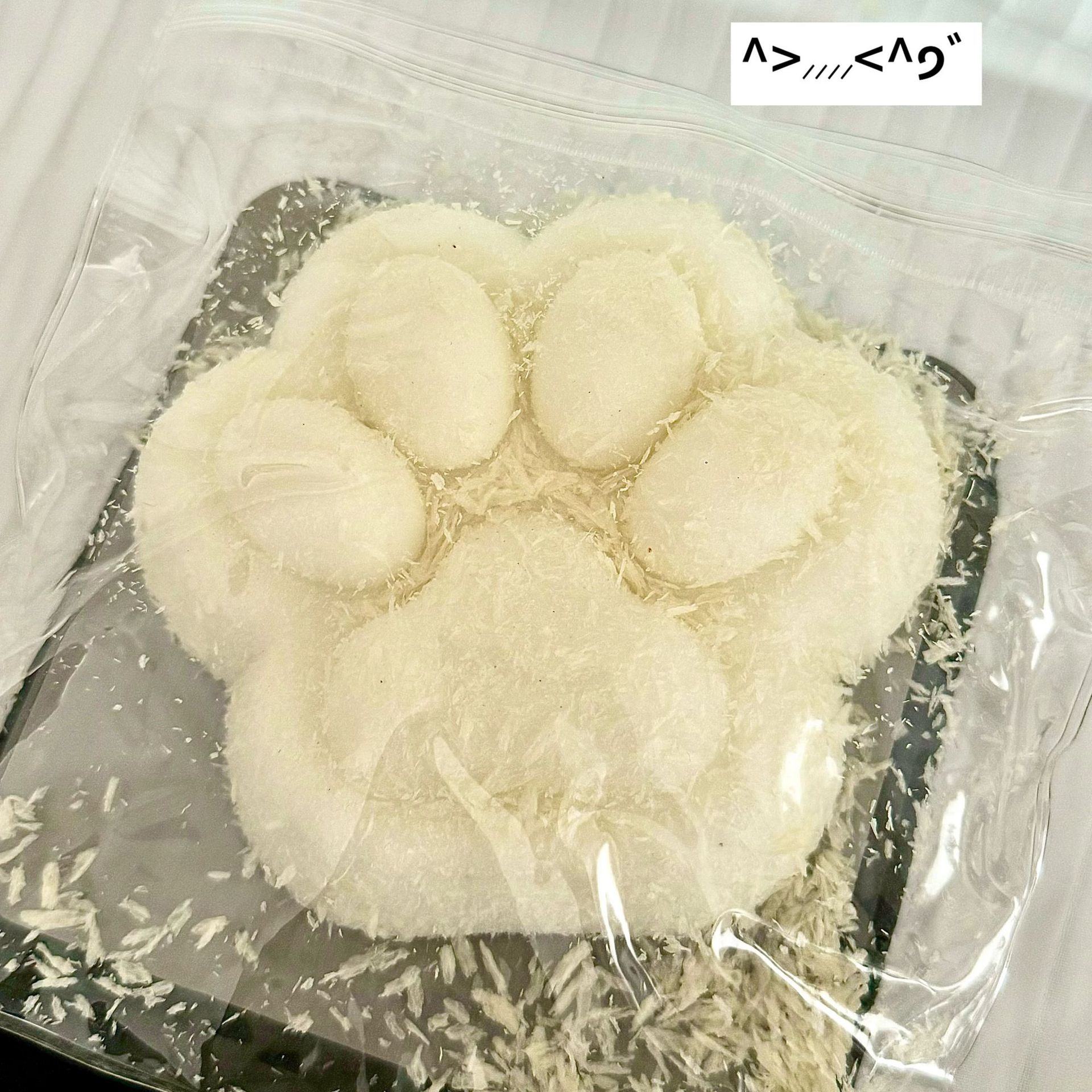 SQ026-Coconut Cat Paw-Colorful