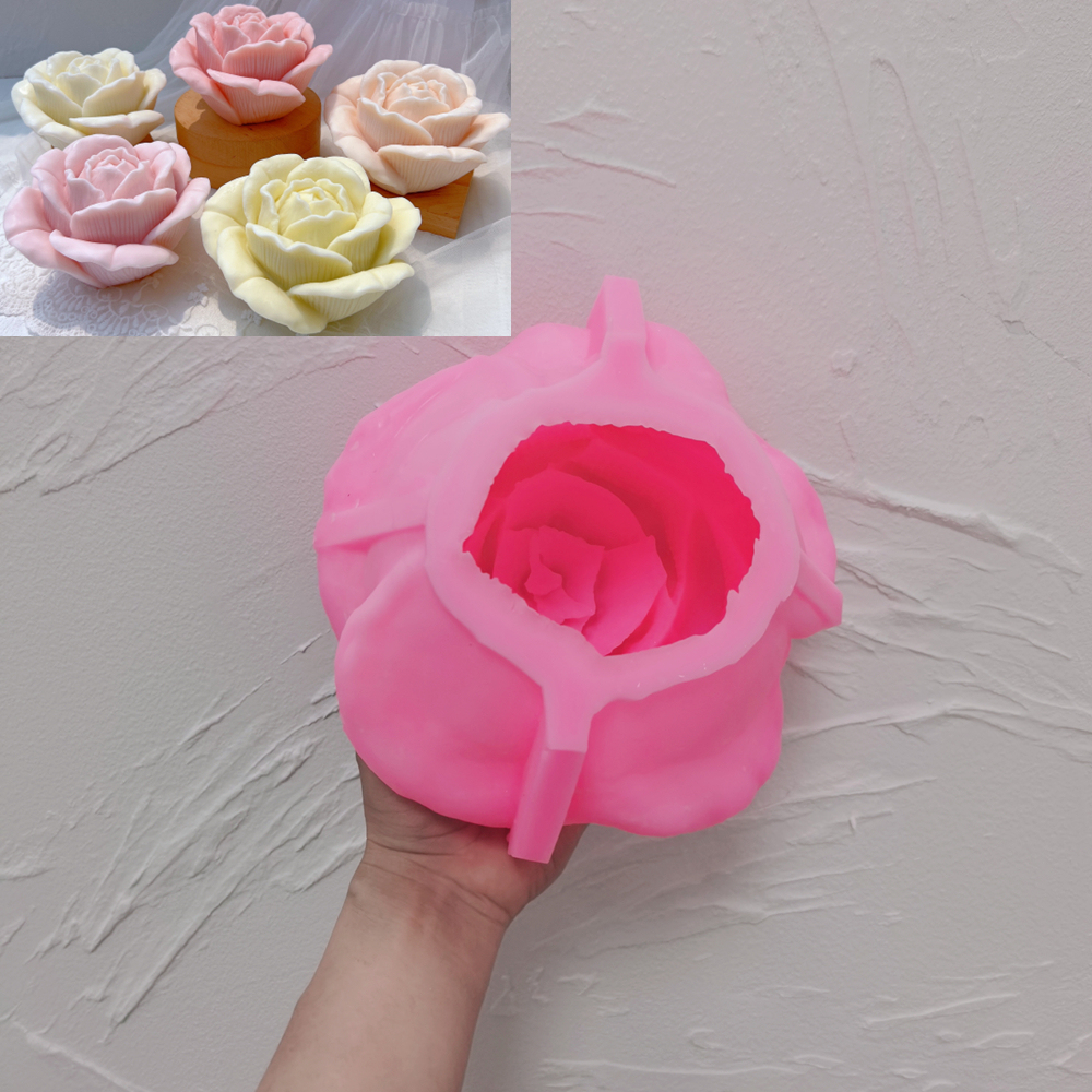 Rosa