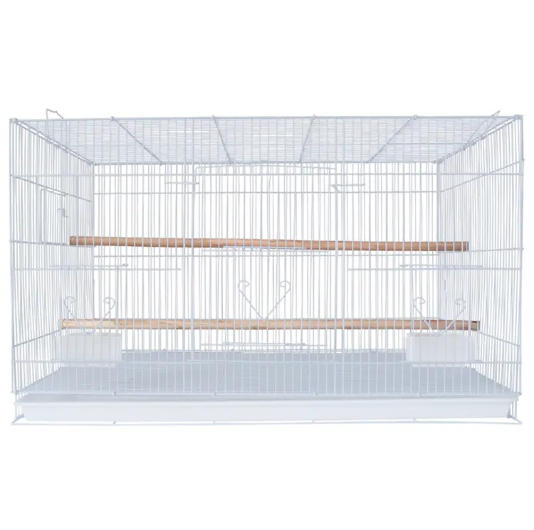 Non-toxic 80cm veil bird cage in karachi wire materials panels parrot chicken cage metal breeding bird cages