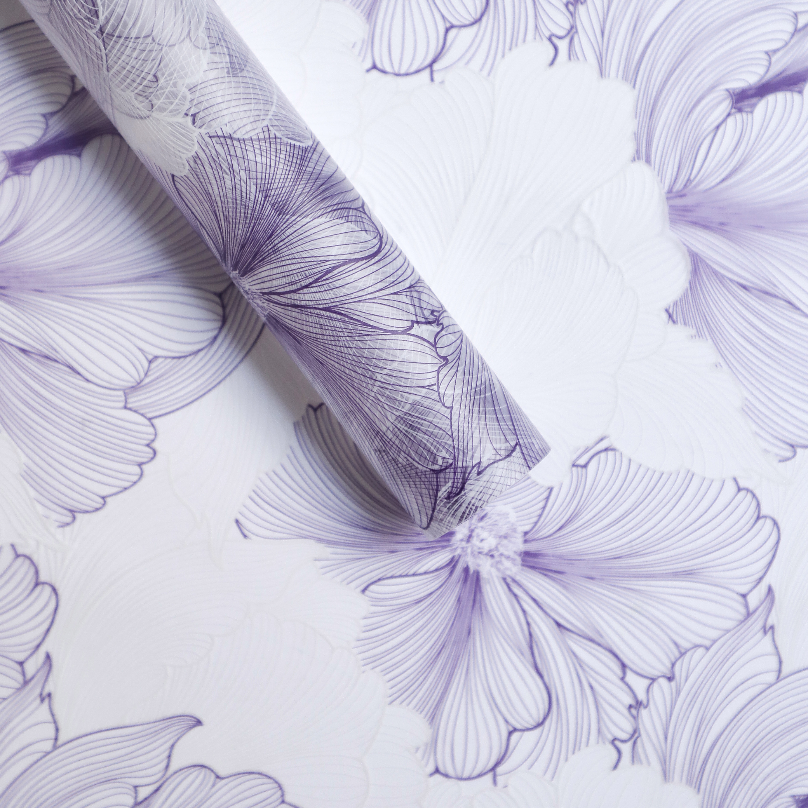3-Pourpre