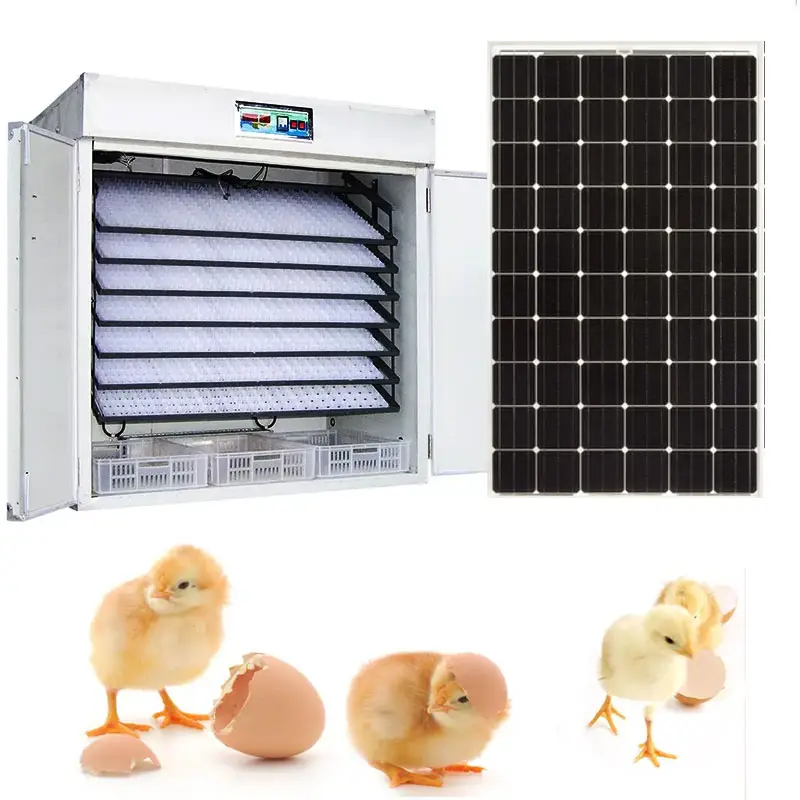 4224 PCS 핫 세일 계란 부화 기계 자동 계란 부화장 및 부화 기계 태양 에너지 기계 계란 인큐베이터