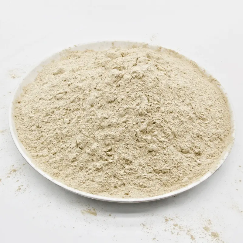 Bentonite de sodium de coulée à haute réutilisation