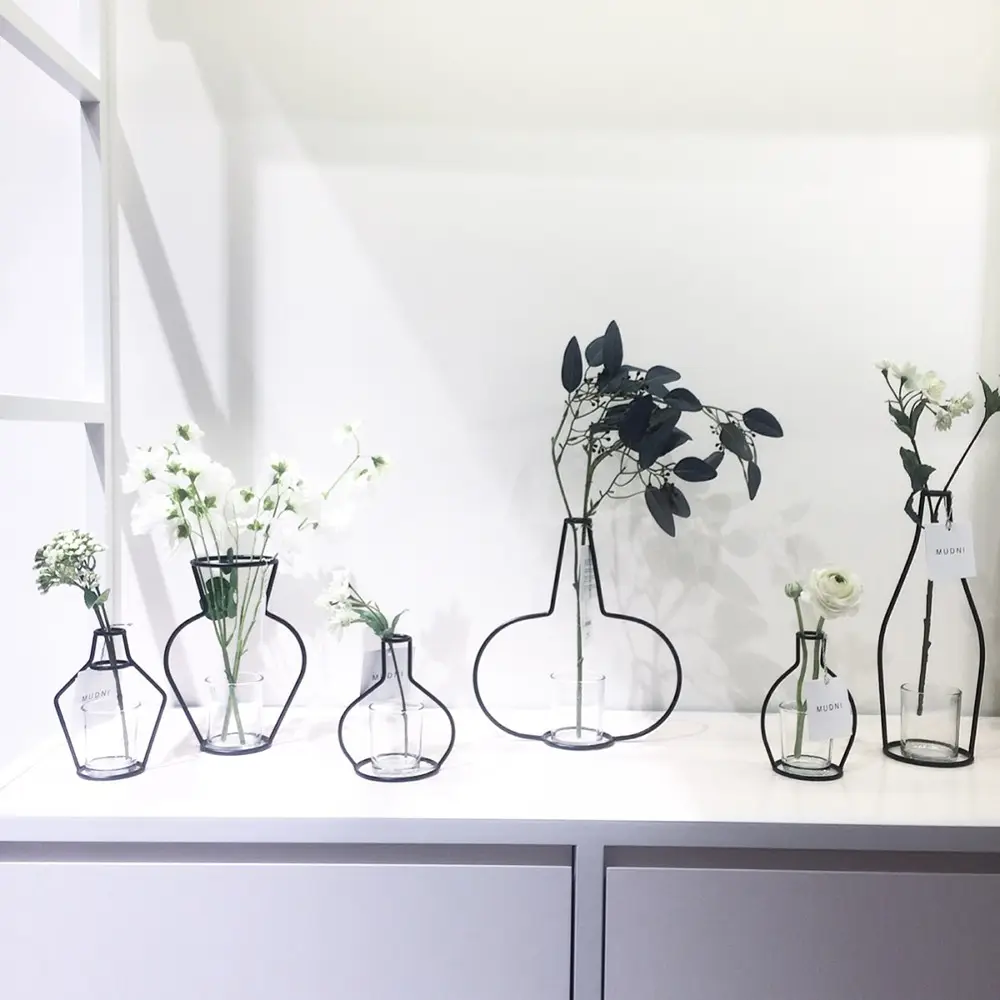 家の装飾のための現代のミニマリストの花瓶の家の装飾の瓶水耕植物ラック芸術的な花鉄の花瓶