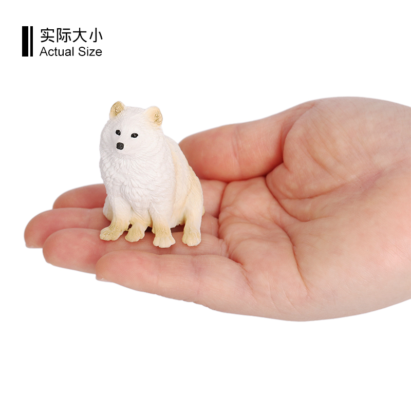 4086 Perro mapache