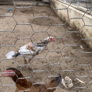 Chi phí thấp sắt gà Coop dây lưới hàng rào gấp cá bẫy nuôi trồng thủy sản Net lồng tùy chỉnh lục giác lưới - Product Image 1