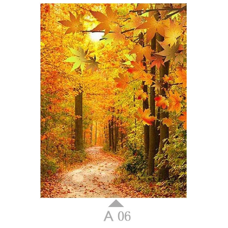 Multicolor-A06