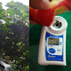 Aismartlink atago 3810 (PAL-1) Khúc xạ kế bỏ túi kỹ thuật số, 0-53% Brix - Product Image 4