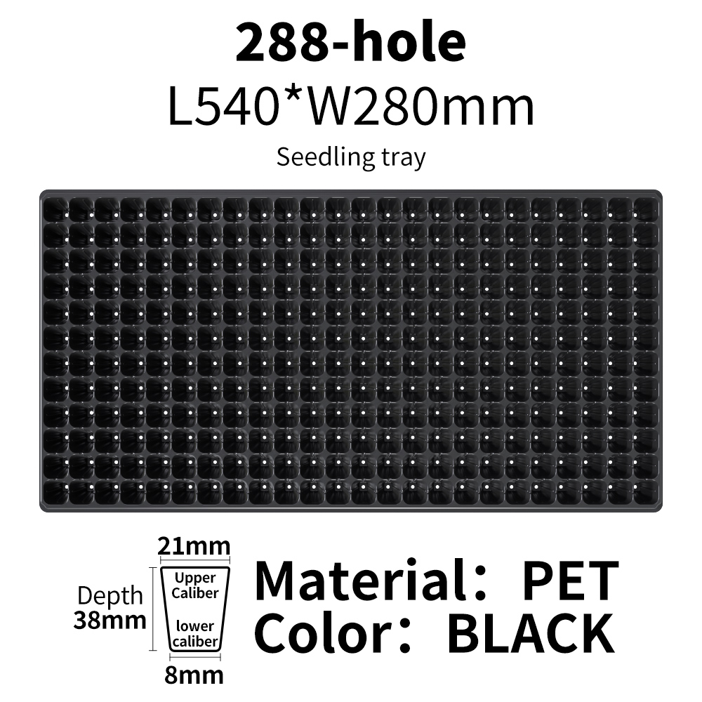 Noir 288 cellules