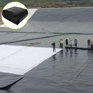 <strong>Best</strong> Price 0.3mm 0.5mm 1mm <strong>HDPE</strong> Geomembrane - Product Image 1