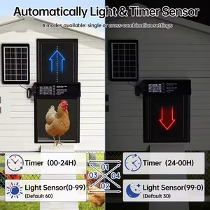 Display LCD automatico Smart metallo pollo animale Coop porta ad energia solare con sensore di luce Timer e telecomando 4 modalità - Product Image 2
