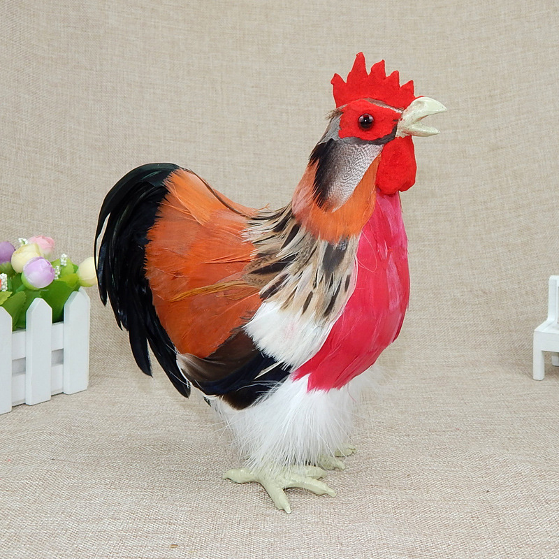 No 3 rooster-straight head-red belly