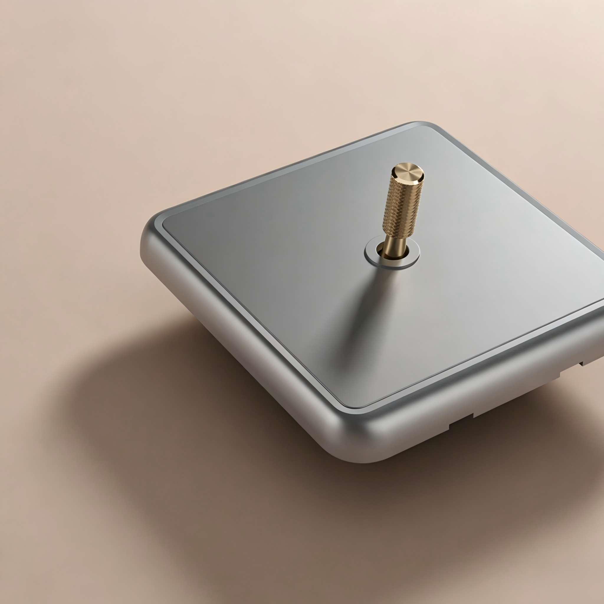 1gang