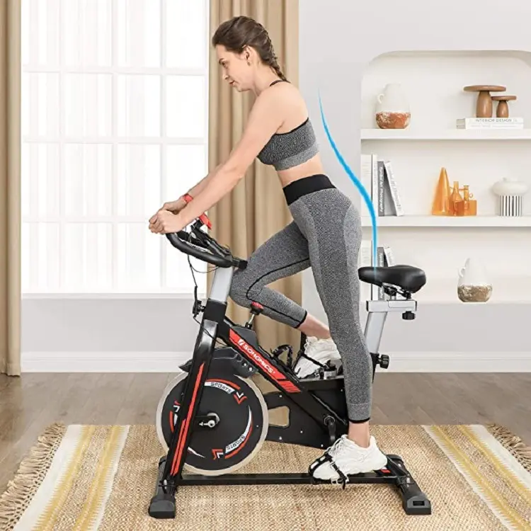 Proveedor de China de lujo para el hogar Fitness Spinning Bike Venta Mini bicicleta estática para perder peso