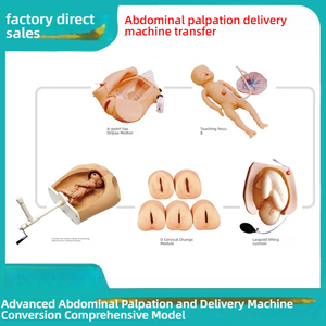 Advanced Obstetrics Gynecology Simulator Model Direct Manufacturer's PVC Abdominal <strong>Palpation</strong> Delivery Mechanism for Medical - Product Image 2