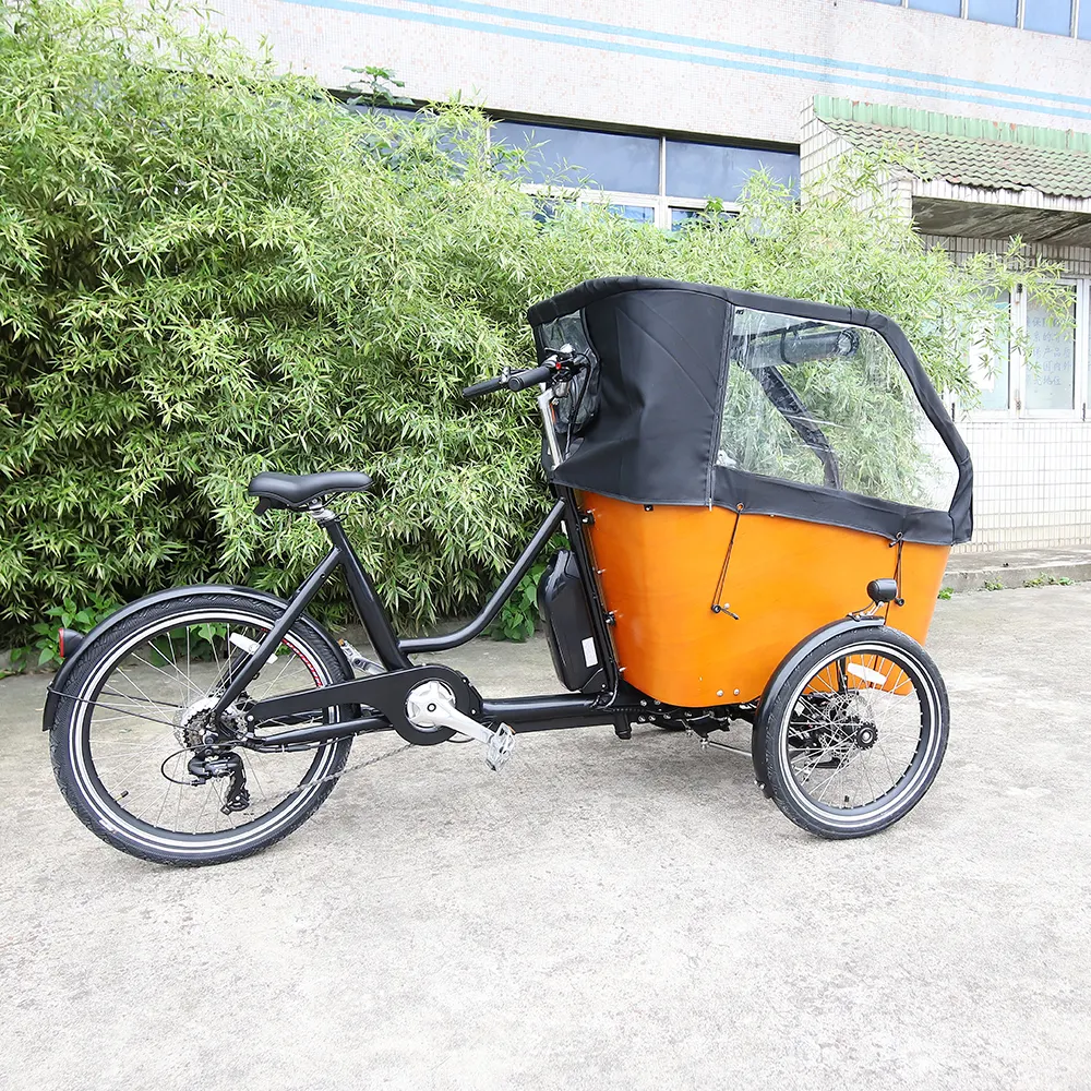 Новый дизайн, 250 Вт, 500 Вт, дополнительный семейный Грузовой Трехколесный Электрический грузовой велосипед с тремя колесами