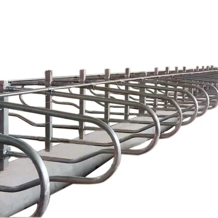 Hot Dip Galvanized double type cubicles single row lying bed cow cattle free stall