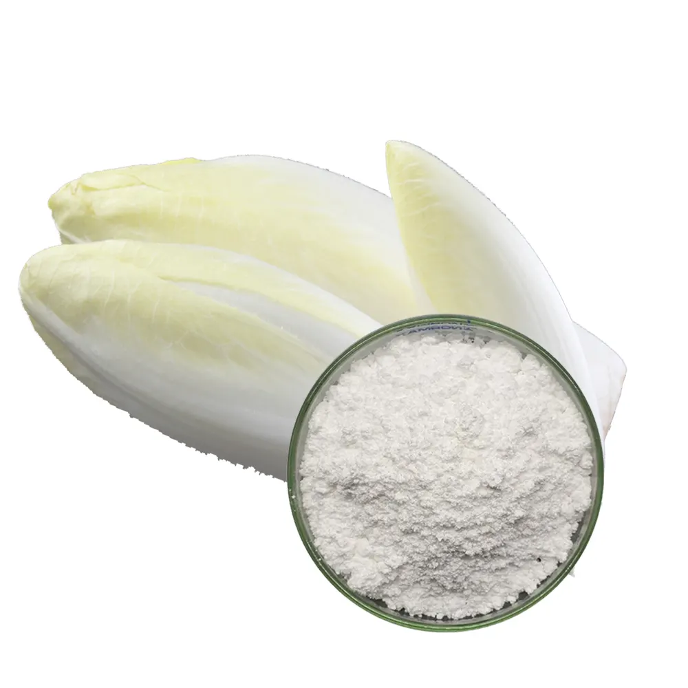 Provides Pure Natural Chicory Root Extract Organic Inulin Powder