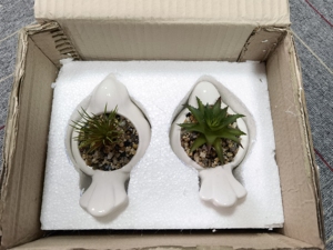 Cement Flower <strong>Pot</strong> Cement <strong>Plant</strong> <strong>Pot</strong> Item Custom Decorative Cheap Simulation <strong>Stone</strong> Used with Artificial Flower Hand Carved Modern - Product Image 6