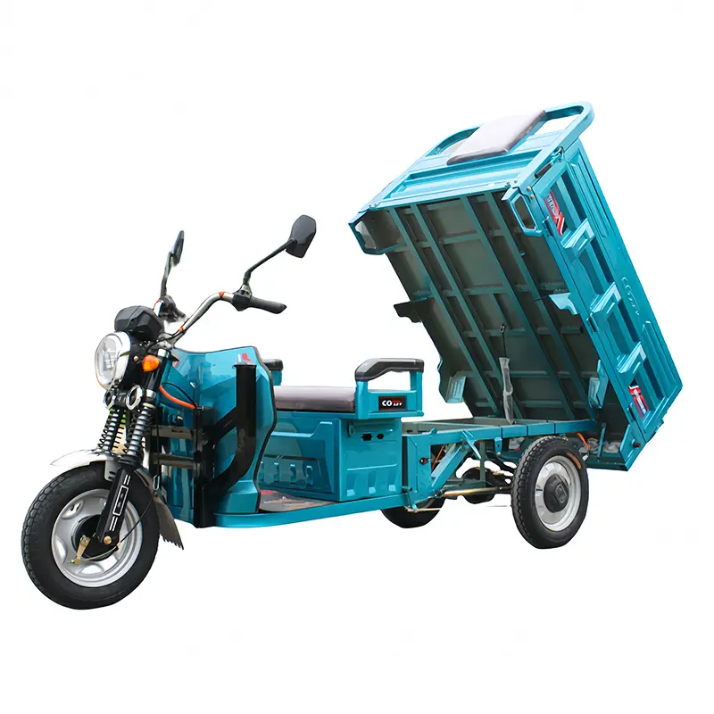 Taşıma kargo yetişkin elektrikli üç teker bisikletler kamyon trike motosiklet 1200W navlun taşıma