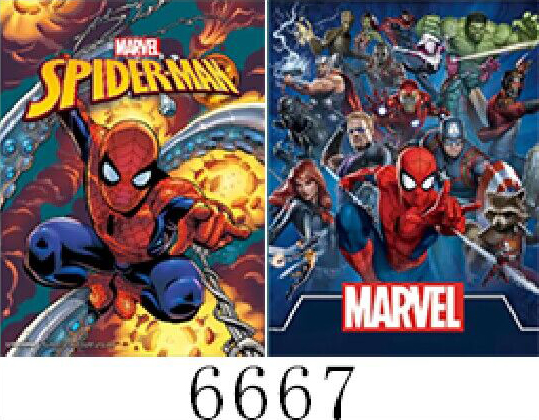 6667