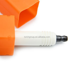 Đôi Iridium ignitor cắm đôi 1242 0290 Mr 3 dii 360 / 0 242 356 515 cho TBG TCG 2016 - Product Image 6